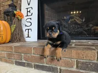 processed/331d3ffd-b07b-45b0-b34f-61f5e952e581/listing/6c22c4b3-63bb-4490-a723-5d66d20979da/2e9559bf-13be-4ec3-8804-fcf8b600f331