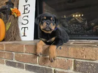 processed/331d3ffd-b07b-45b0-b34f-61f5e952e581/listing/6c22c4b3-63bb-4490-a723-5d66d20979da/3d72e3a0-a7aa-4aeb-86dc-638673a862e1