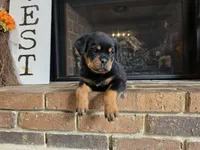 processed/331d3ffd-b07b-45b0-b34f-61f5e952e581/listing/6c22c4b3-63bb-4490-a723-5d66d20979da/684f91d8-ec8c-45c9-802d-2824e2102379