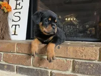 processed/331d3ffd-b07b-45b0-b34f-61f5e952e581/listing/6c22c4b3-63bb-4490-a723-5d66d20979da/a20a4051-c1ea-4b48-ad3e-da110af5d57f