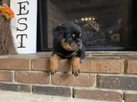 processed/331d3ffd-b07b-45b0-b34f-61f5e952e581/listing/6c22c4b3-63bb-4490-a723-5d66d20979da/f9c2070d-53f6-43a0-9f25-16a7070bf8f0