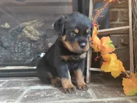 processed/331d3ffd-b07b-45b0-b34f-61f5e952e581/listing/a1171750-3b5a-4601-8ee7-1d3d17738b60/4cf1866a-08d6-4ea6-85c2-04ddb702d0c3