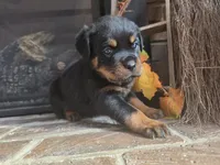 processed/331d3ffd-b07b-45b0-b34f-61f5e952e581/listing/a1171750-3b5a-4601-8ee7-1d3d17738b60/836fdc83-2eea-4337-867a-e7fa37829701