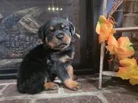 processed/331d3ffd-b07b-45b0-b34f-61f5e952e581/listing/a1171750-3b5a-4601-8ee7-1d3d17738b60/8f6cb8a9-f34b-4b4f-868a-7376f2333743