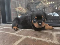 processed/331d3ffd-b07b-45b0-b34f-61f5e952e581/listing/b7f57602-1359-4224-b1ac-10d3ee11bf76/58aee87b-9078-48fb-bd86-e523f5992e24