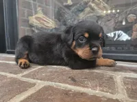 processed/331d3ffd-b07b-45b0-b34f-61f5e952e581/listing/b7f57602-1359-4224-b1ac-10d3ee11bf76/6079141b-c1e2-42d8-9d3e-dbec2c32c695