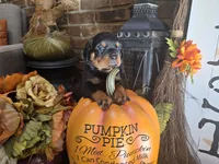 processed/331d3ffd-b07b-45b0-b34f-61f5e952e581/listing/b7f57602-1359-4224-b1ac-10d3ee11bf76/765689ab-b456-4a29-9955-03716e536f05