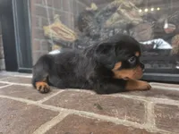 processed/331d3ffd-b07b-45b0-b34f-61f5e952e581/listing/b7f57602-1359-4224-b1ac-10d3ee11bf76/b1e6dab9-59dd-411b-a51f-4d4566c82c91