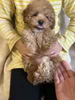 processed/33207070-a043-4cf9-b5fb-6c6156674614/listing/e8e9911b-2d68-4571-9bb8-715eedfdc9fa/1bf9d1cb-aa5e-414a-bf39-65d3292ae0a5