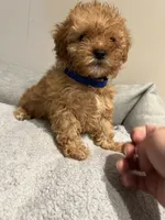 processed/33207070-a043-4cf9-b5fb-6c6156674614/listing/e8e9911b-2d68-4571-9bb8-715eedfdc9fa/368e0aca-be2b-4230-9f0b-c7d7c11bcc6c