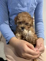 processed/33207070-a043-4cf9-b5fb-6c6156674614/listing/e8e9911b-2d68-4571-9bb8-715eedfdc9fa/57b42b7f-f7fd-4afd-9dd0-ba5475d9894b