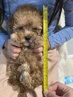 processed/33207070-a043-4cf9-b5fb-6c6156674614/listing/e8e9911b-2d68-4571-9bb8-715eedfdc9fa/8cfe2a2d-e99d-4047-815b-0a34a6759530