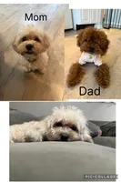 processed/33207070-a043-4cf9-b5fb-6c6156674614/listing/e8e9911b-2d68-4571-9bb8-715eedfdc9fa/afafff61-566f-4fca-9253-eea4a284a646