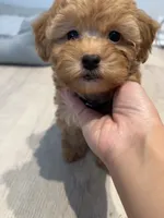 processed/33207070-a043-4cf9-b5fb-6c6156674614/listing/e8e9911b-2d68-4571-9bb8-715eedfdc9fa/b77e565e-0e2c-4bbf-a997-33f75f5d6380