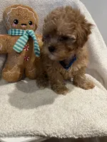 processed/33207070-a043-4cf9-b5fb-6c6156674614/listing/e8e9911b-2d68-4571-9bb8-715eedfdc9fa/ce9583b3-f3e1-4d05-8529-14d6fa87c8d7