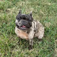 processed/3320f6b7-945d-4c4f-bebc-5d75852c7e9a/facility/0fd515c1-ee0a-4686-a1c2-4a75596cae63