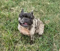 processed/3320f6b7-945d-4c4f-bebc-5d75852c7e9a/facility/0fd515c1-ee0a-4686-a1c2-4a75596cae63