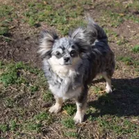 processed/3320f6b7-945d-4c4f-bebc-5d75852c7e9a/facility/492bb362-8866-4037-8652-f1584fbfba1b