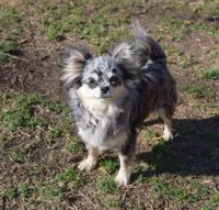 processed/3320f6b7-945d-4c4f-bebc-5d75852c7e9a/facility/492bb362-8866-4037-8652-f1584fbfba1b