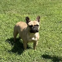 processed/3320f6b7-945d-4c4f-bebc-5d75852c7e9a/facility/738ba71d-37f9-4e29-bcd7-78a5cf62bb9e