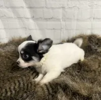 processed/3320f6b7-945d-4c4f-bebc-5d75852c7e9a/listing/29410195-ef9f-4387-b931-b70a664611c3/5142bbdb-83e1-4c05-ad31-5e3b3dee246a