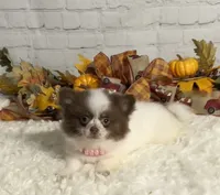 processed/3320f6b7-945d-4c4f-bebc-5d75852c7e9a/listing/7cf7b643-5163-4090-addc-6c6227433d55/5ef58963-176c-4b7d-84e9-2e3da8d058f5