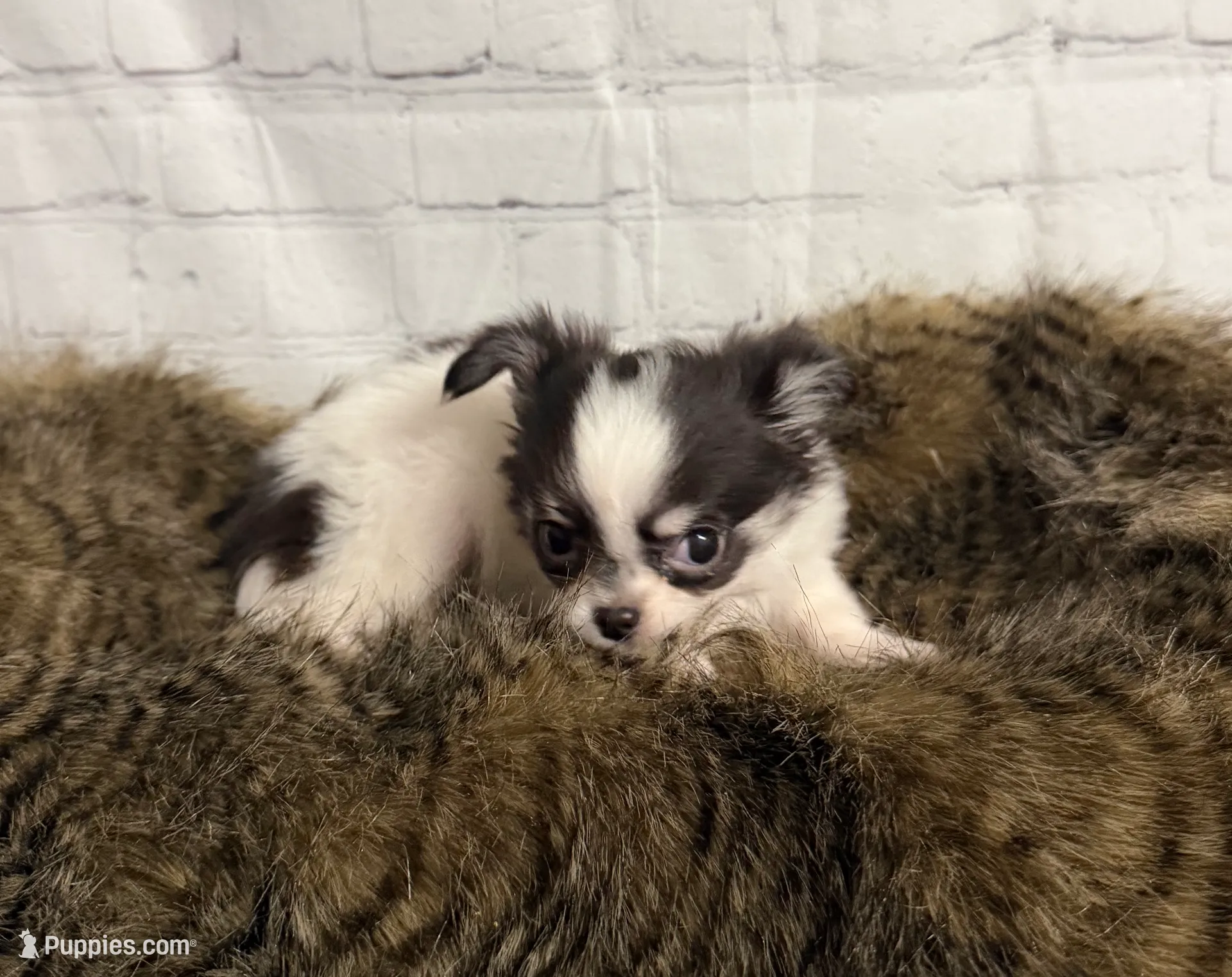 processed/3320f6b7-945d-4c4f-bebc-5d75852c7e9a/listing/b4eee583-d2e7-4a2b-9434-b06efbd4dfcb/59c6ed14-f5bf-4df8-b5aa-d4451b78b1fd