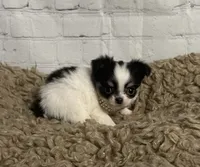 processed/3320f6b7-945d-4c4f-bebc-5d75852c7e9a/listing/b4eee583-d2e7-4a2b-9434-b06efbd4dfcb/b80c7add-be7f-46e2-bfdf-dff80d076166