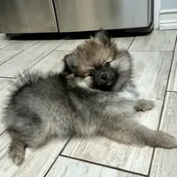 processed/332f9aa6-b558-4bdb-af0c-76c52cce75d4/facility/13491d0a-53c4-474d-8379-c664c3a3d149