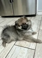 processed/332f9aa6-b558-4bdb-af0c-76c52cce75d4/facility/13491d0a-53c4-474d-8379-c664c3a3d149