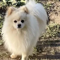 processed/332f9aa6-b558-4bdb-af0c-76c52cce75d4/facility/4006005c-e46d-4088-96a3-8c8323a681d9