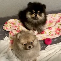 processed/332f9aa6-b558-4bdb-af0c-76c52cce75d4/facility/56dbd6ba-d6a8-4563-8725-c67689b56591