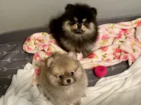 processed/332f9aa6-b558-4bdb-af0c-76c52cce75d4/facility/56dbd6ba-d6a8-4563-8725-c67689b56591