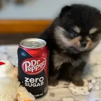 processed/332f9aa6-b558-4bdb-af0c-76c52cce75d4/facility/86dcef45-583e-47ef-88c1-0741e5ecf73f