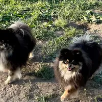 processed/332f9aa6-b558-4bdb-af0c-76c52cce75d4/facility/c550fabe-f6c0-431e-b0a2-a2dc8f400a36