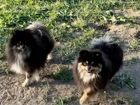 processed/332f9aa6-b558-4bdb-af0c-76c52cce75d4/facility/c550fabe-f6c0-431e-b0a2-a2dc8f400a36