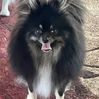 processed/332f9aa6-b558-4bdb-af0c-76c52cce75d4/facility/c6a6932c-e8e4-4779-8a27-b5954eae581b