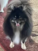 processed/332f9aa6-b558-4bdb-af0c-76c52cce75d4/facility/c6a6932c-e8e4-4779-8a27-b5954eae581b