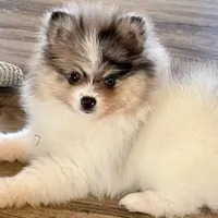 processed/332f9aa6-b558-4bdb-af0c-76c52cce75d4/facility/d554556d-be7b-4021-9290-3aca504f8a0f