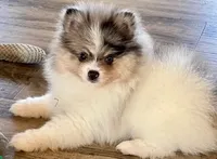 processed/332f9aa6-b558-4bdb-af0c-76c52cce75d4/facility/d554556d-be7b-4021-9290-3aca504f8a0f