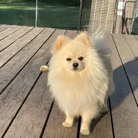 processed/332f9aa6-b558-4bdb-af0c-76c52cce75d4/facility/d6ad28a3-aa96-4fc9-bc43-b43ba1916e3c