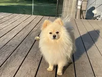 processed/332f9aa6-b558-4bdb-af0c-76c52cce75d4/facility/d6ad28a3-aa96-4fc9-bc43-b43ba1916e3c