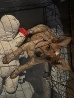 processed/33313924-48d8-441f-a2af-6a0b34c8b5bb/listing/213a95b0-839d-4323-87e4-b63be3aaf38a/18bda866-fbe7-48c8-98bf-b152520ad132