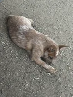 processed/33313924-48d8-441f-a2af-6a0b34c8b5bb/listing/213a95b0-839d-4323-87e4-b63be3aaf38a/a0f0db1c-09c4-4d87-bbc5-eb1b80b0b273