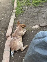 processed/33313924-48d8-441f-a2af-6a0b34c8b5bb/listing/213a95b0-839d-4323-87e4-b63be3aaf38a/f1669cb7-a137-4664-ac94-71cbe634e814