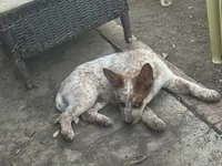 processed/33313924-48d8-441f-a2af-6a0b34c8b5bb/listing/7d90a9ff-0c7d-4ffb-9833-e3cc7375d80d/37b8d5f6-1b44-4551-93be-13ada334accc