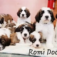 processed/3333d352-f0b0-46cc-b2a9-aa229d69a9e6/facility/0710fdaf-6255-429e-b114-61f26f6a2037