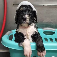 processed/3333d352-f0b0-46cc-b2a9-aa229d69a9e6/facility/07999811-74e4-42d3-ad58-86392bbb3016