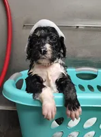 processed/3333d352-f0b0-46cc-b2a9-aa229d69a9e6/facility/07999811-74e4-42d3-ad58-86392bbb3016