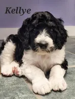 processed/3333d352-f0b0-46cc-b2a9-aa229d69a9e6/facility/6f22ecbd-0f8e-41b1-936d-694223482e22